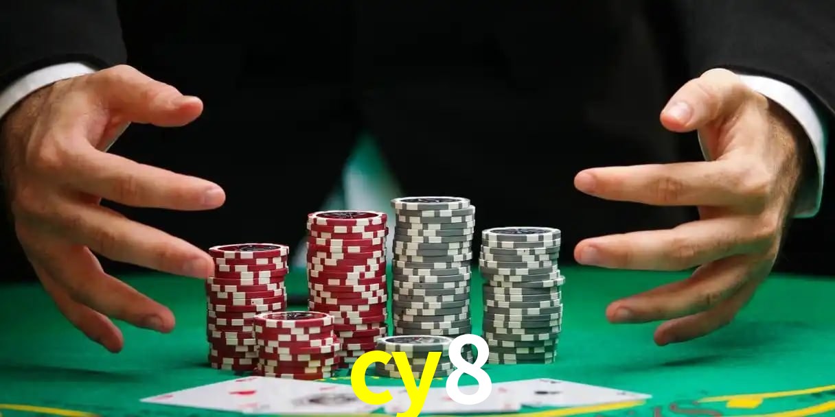 cassino cy8